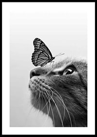 Svartvit närbild av katt med fjäril på nosen, fotografisk-0