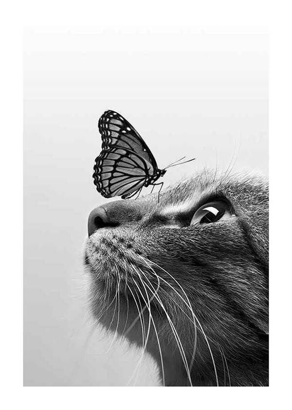 Póster Butterfly Cat