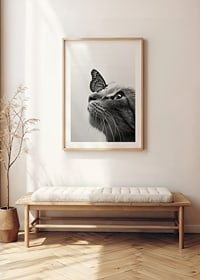 Svartvit närbild av katt med fjäril på nosen, fotografisk-8