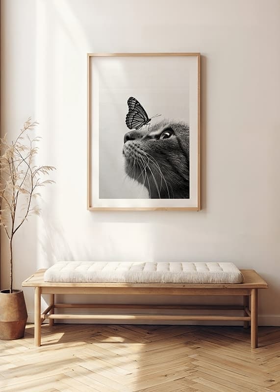 Svartvit närbild av katt med fjäril på nosen, fotografisk-12