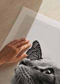 Butterfly Cat-5