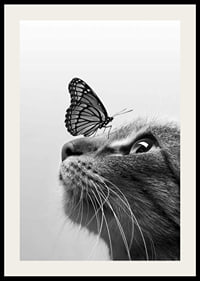 Svartvit närbild av katt med fjäril på nosen, fotografisk-2