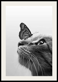Black and white close-up of cat with butterfly on its nose, photographic-2