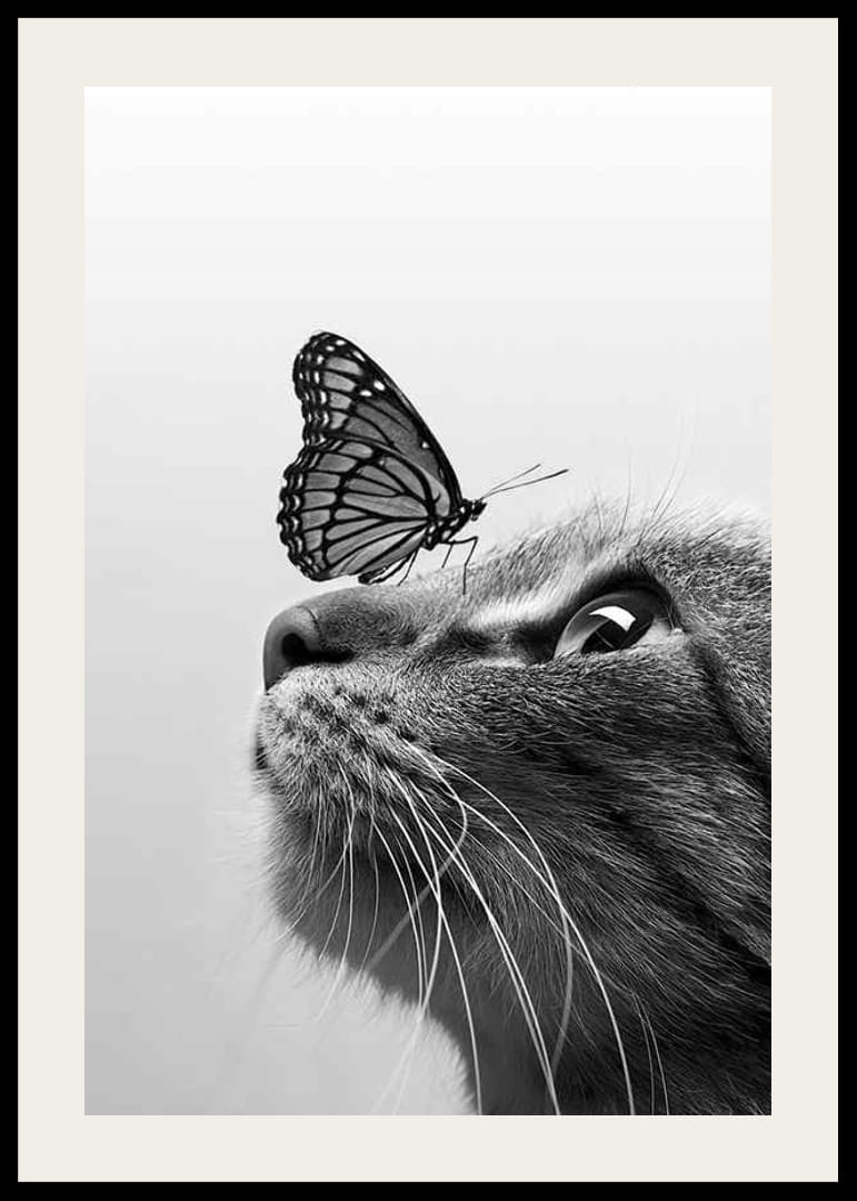 Black and white close-up of cat with butterfly on its nose, photographic-12