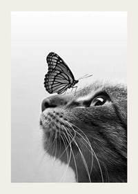 Svartvit närbild av katt med fjäril på nosen, fotografisk-3