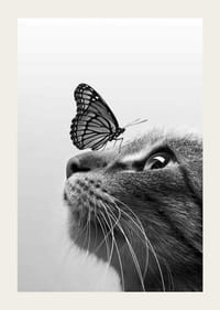 Black and white close-up of cat with butterfly on its nose, photographic-3