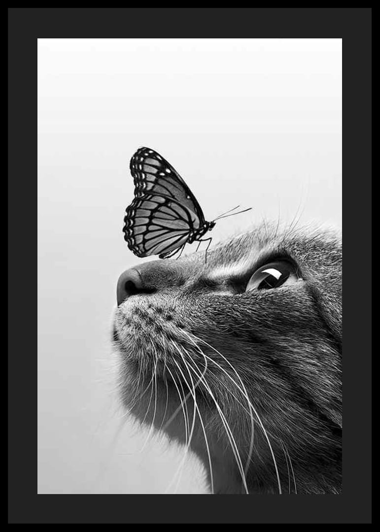 Black and white close-up of cat with butterfly on its nose, photographic-12