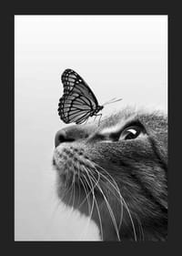Black and white close-up of cat with butterfly on its nose, photographic-5