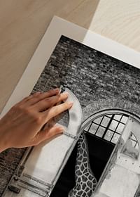 Hiding Giraffe-5
