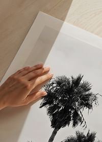 L.A Palm Trees-5