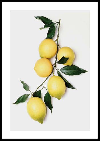 Poster Lemons With Leaves