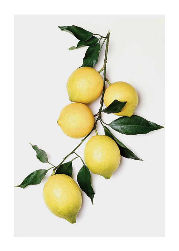Plakāts Lemons With Leaves