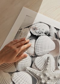 Close-up photograph of white seashells and a starfish-9