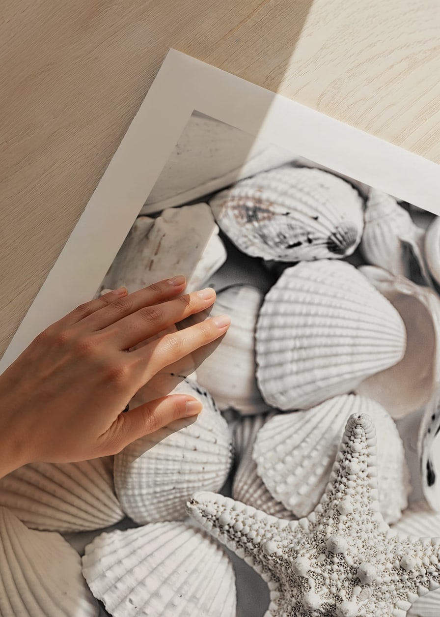 Close-up photograph of white seashells and a starfish-12