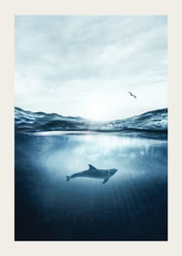 Delfin a víz felszíne alatt, sirály a kék tengerben-3