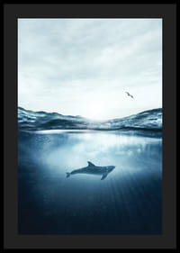 Delfin a víz felszíne alatt, sirály a kék tengerben-4