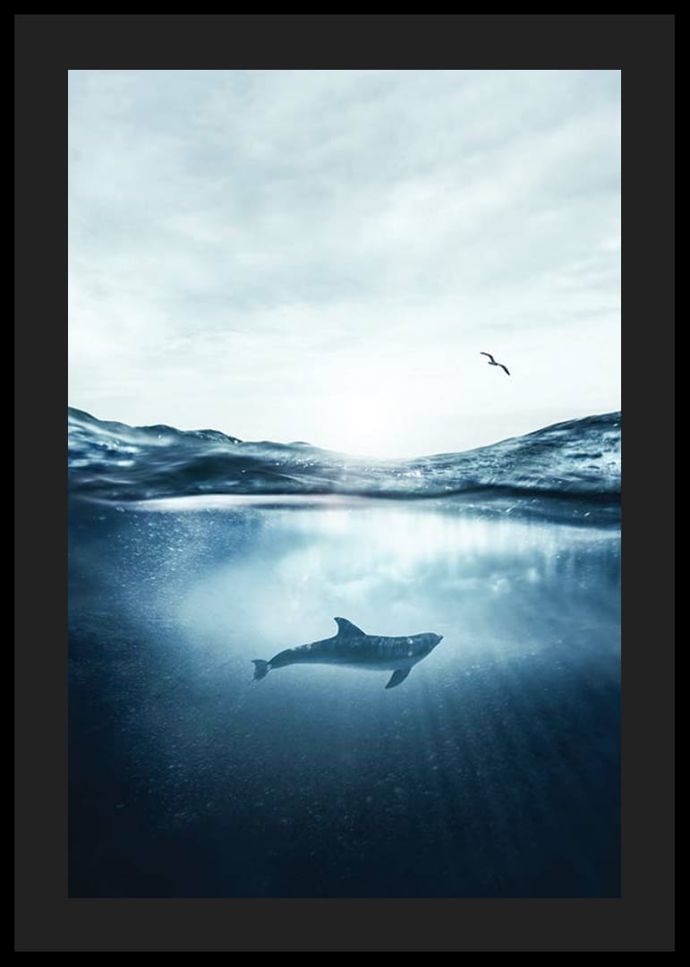 Delfin a víz felszíne alatt, sirály a kék tengerben-12