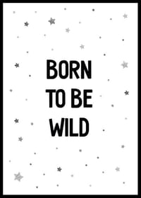 Born To Be Wild-0