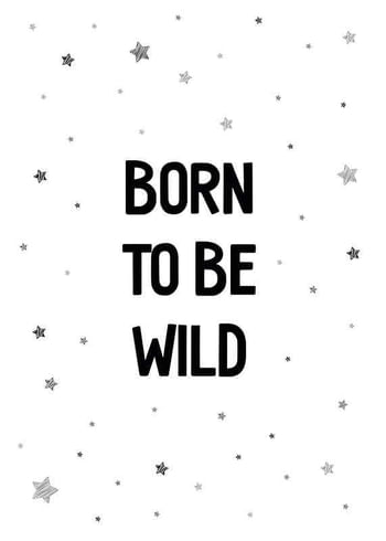 Poster Born To Be Wild