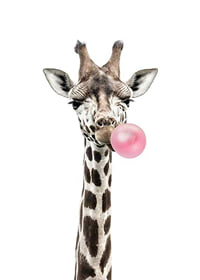Illustrerad giraff med rosa bubbelgum på vit bakgrund-1