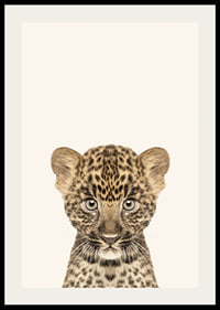 Leopard cub in close-up against light beige background, illustration-2