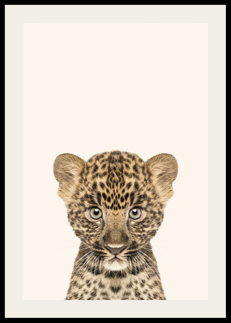 Leopard cub in close-up against light beige background, illustration-12
