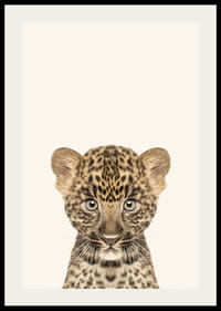 Leopardunge i närbild mot ljusbeige bakgrund, illustration-2