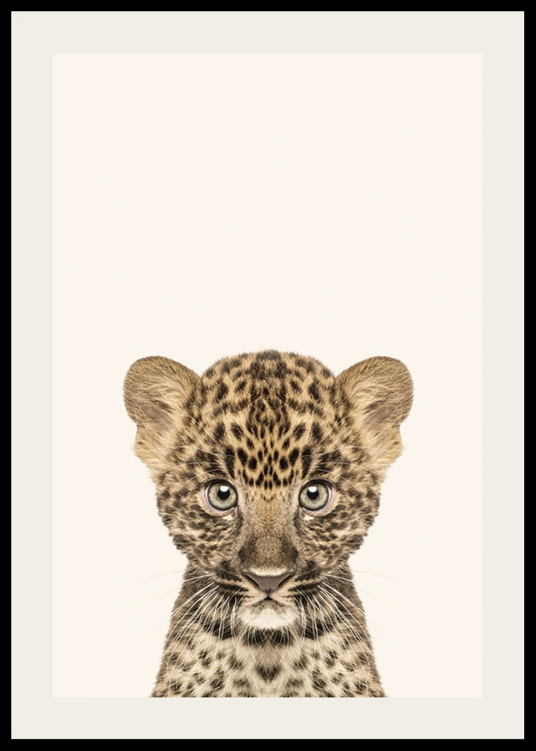 Leopardunge i närbild mot ljusbeige bakgrund, illustration-12