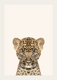 Leopard cub in close-up against light beige background, illustration-3