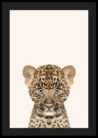 Leopard cub in close-up against light beige background, illustration-4