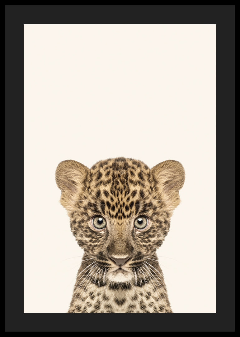 Leopard cub in close-up against light beige background, illustration-12