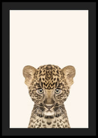 Leopardunge i närbild mot ljusbeige bakgrund, illustration-4