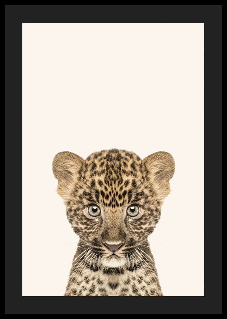 Leopardunge i närbild mot ljusbeige bakgrund, illustration-12