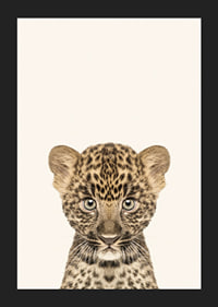 Leopard cub in close-up against light beige background, illustration-5