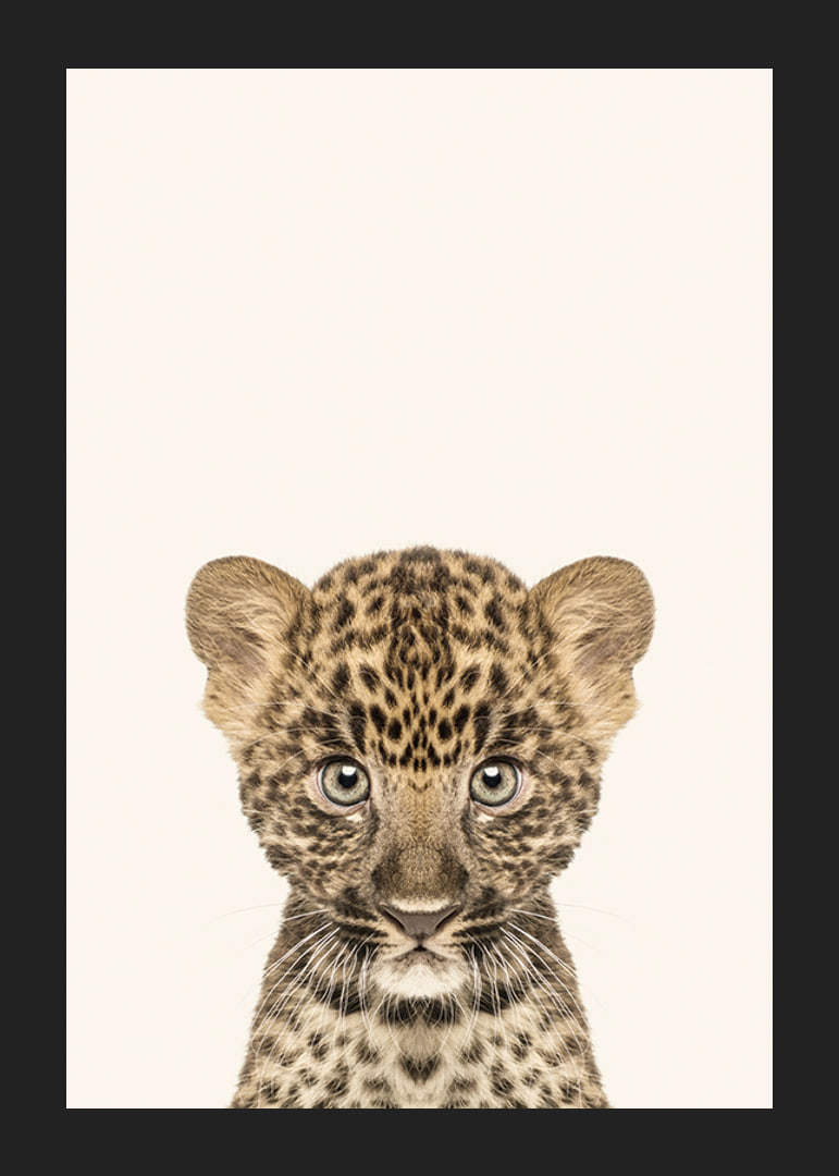 Leopard cub in close-up against light beige background, illustration-12