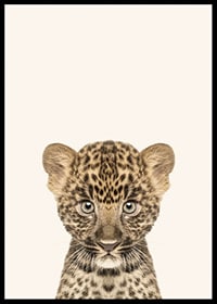 Leopard cub in close-up against light beige background, illustration-6