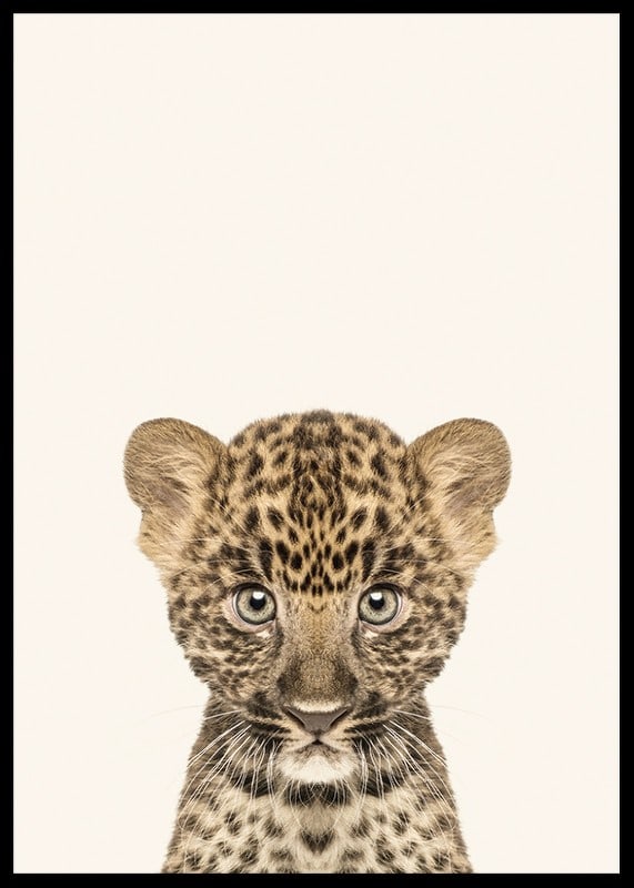 Leopard cub in close-up against light beige background, illustration-12