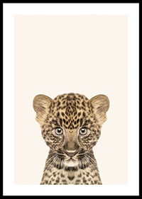 Leopard cub in close-up against light beige background, illustration-0