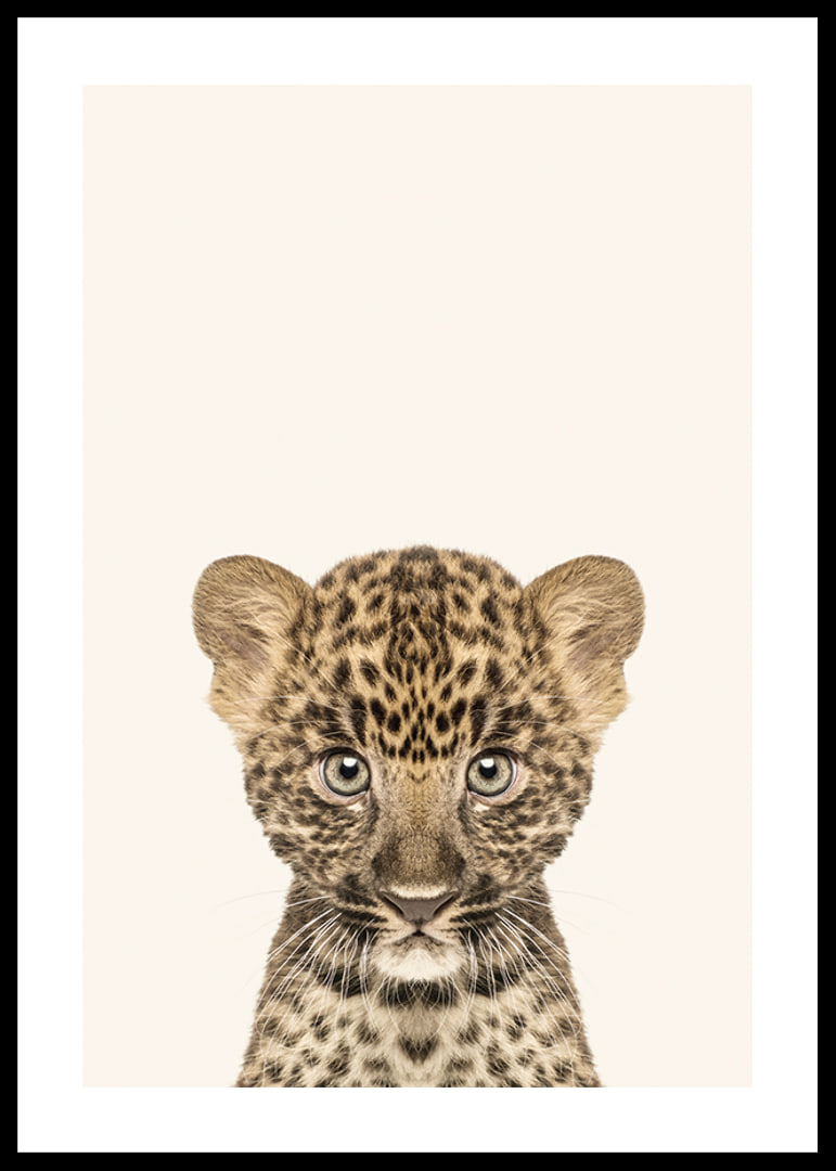 Leopard cub in close-up against light beige background, illustration-12