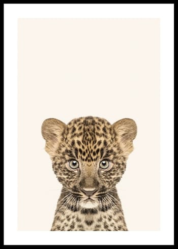 Plakat Baby Leopard