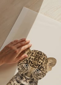 Leopard cub in close-up against light beige background, illustration-9