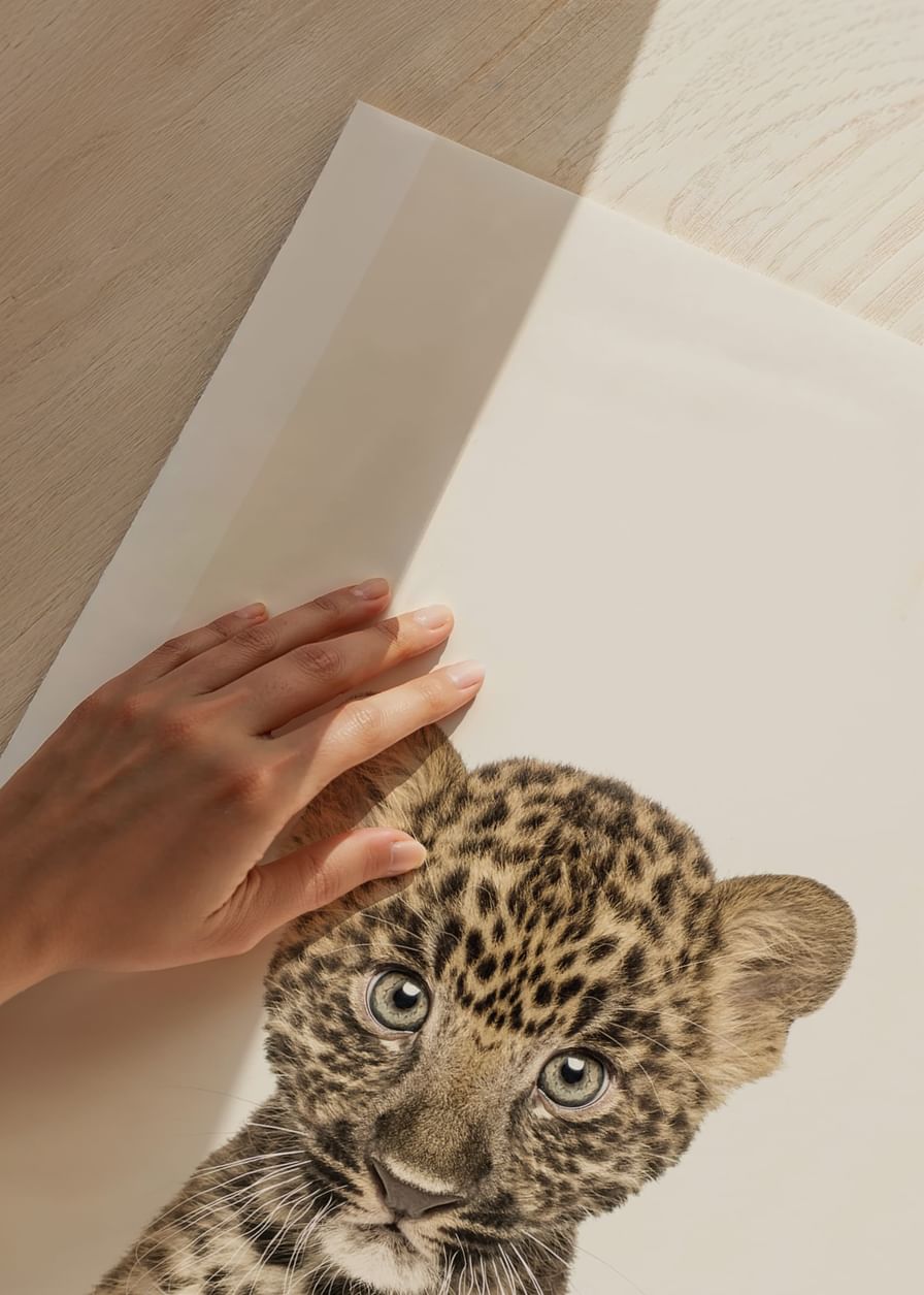 Baby Leopard-12