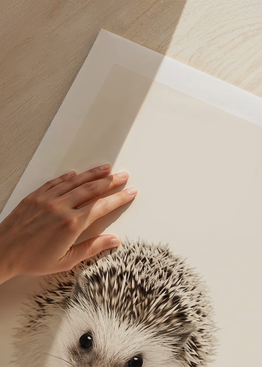 Närbild av igelkottunge mot ljusbeige bakgrund-12