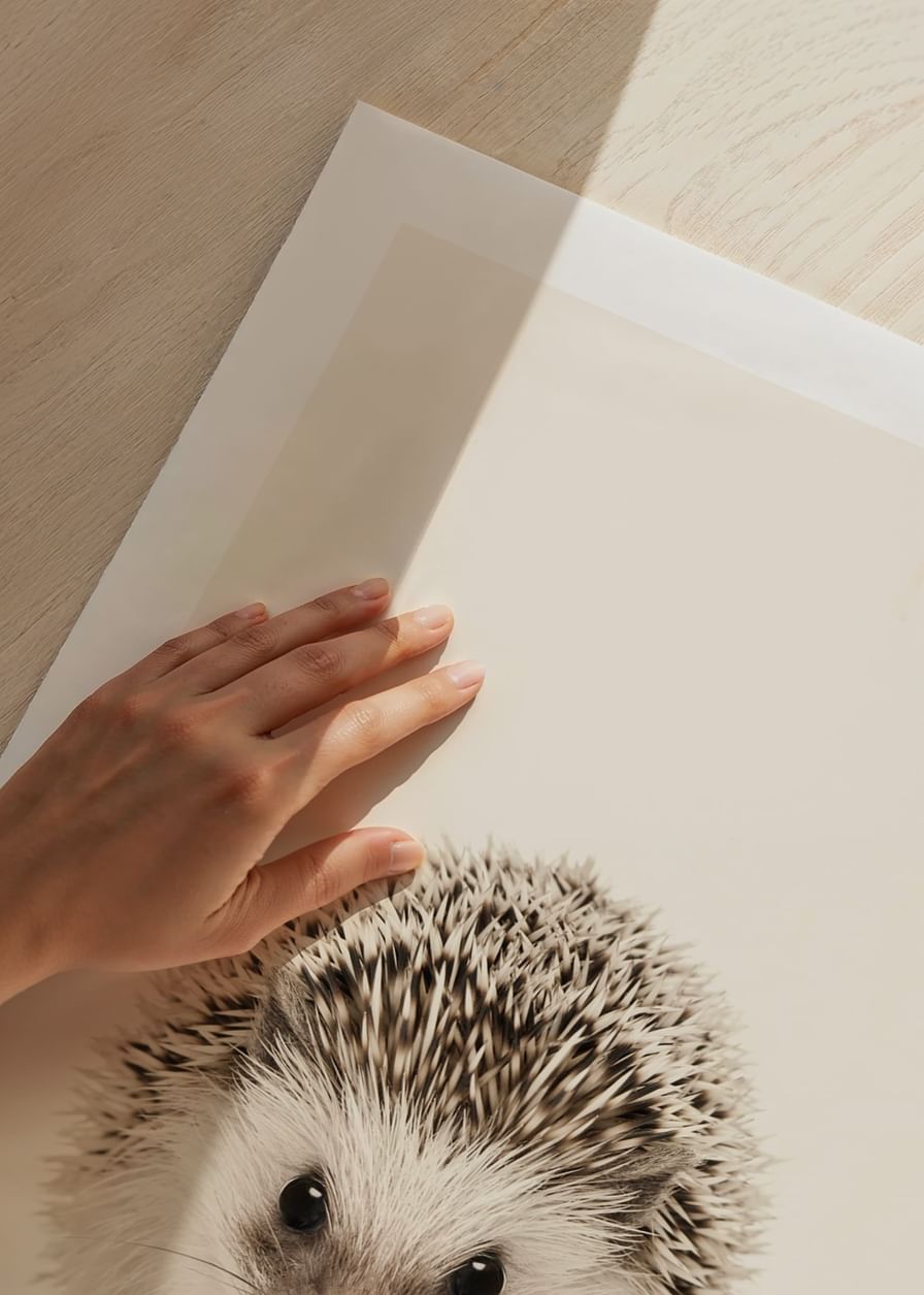 Baby Hedgehog-12