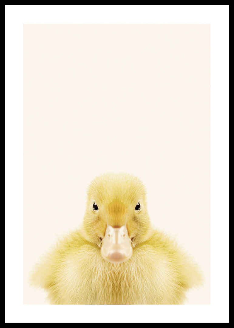 Närbild av gul ankunge mot ljusbeige bakgrund, fotografisk-12