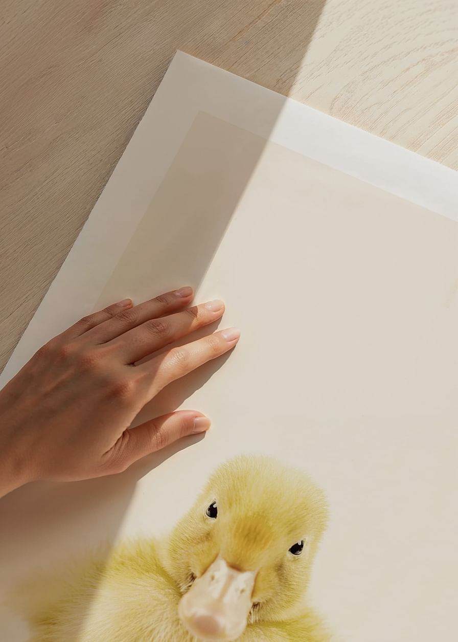 Baby Duck-12
