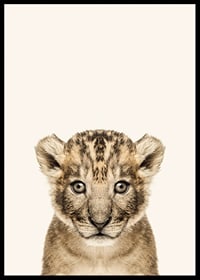 Portrait of lion cub against light beige background, photographic style-6