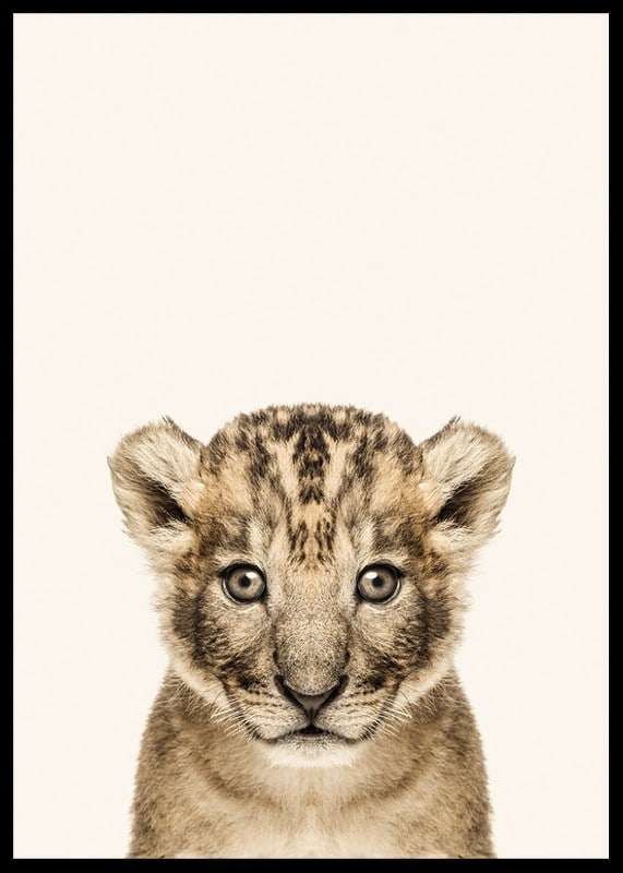Portrait of lion cub against light beige background, photographic style-12