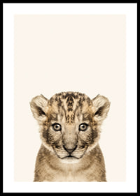 Portrait of lion cub against light beige background, photographic style-0