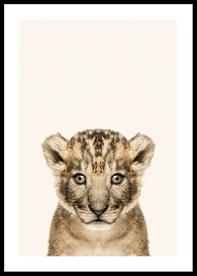 Portrait of lion cub against light beige background, photographic style-12